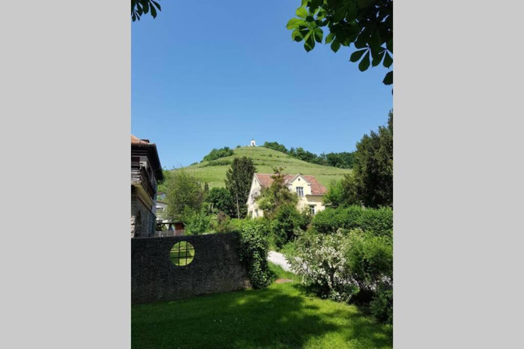 Welcome To Enjoy Maribor ! Exterior foto